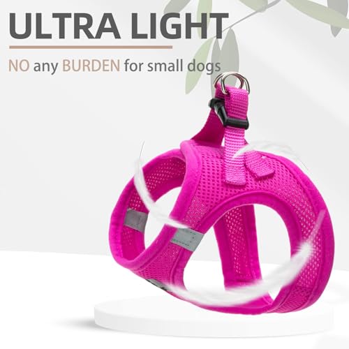 Dog Harness Collar and Leash Set No Pull for Small Medium Sized (Solid DeepPink / L (CHEST 18"-20"))
