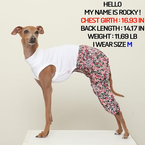 D Doggy Star Italian Greyhound Clothes Mombbe Onesie Outfit Whippet for Dog Coat (S / Mombbe Black)
