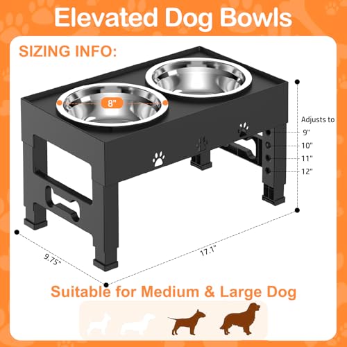 Elevated Dog Bowls with 2 Stainless Steel Bowls (For Medium Large Dogs / Black)