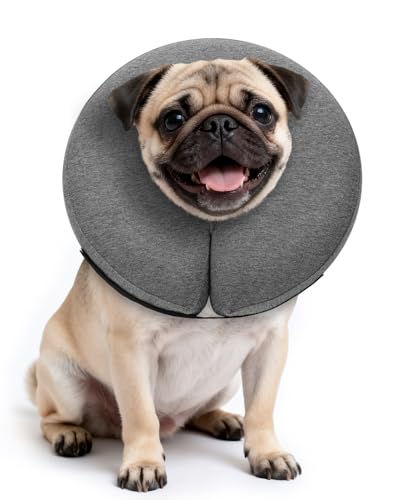 Inflatable Dog Cone (AshGrey / M(12"-15"))