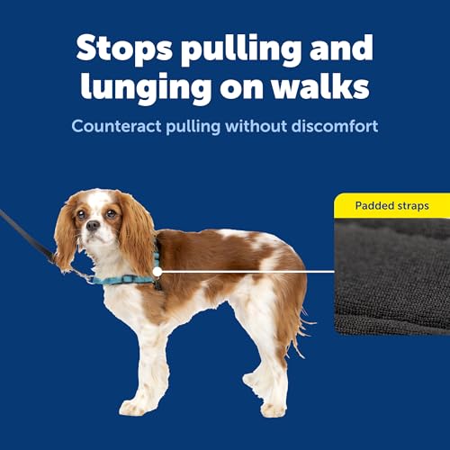 Deluxe Easy Walk Harness (Small / Ocean)