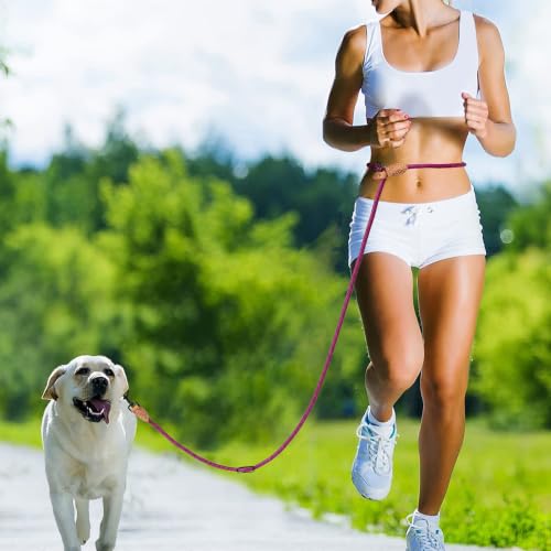 Hands Free Dog Leash (Pink / 8FT Hands Free)