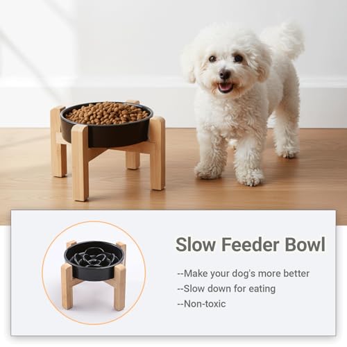 Ceramic Slow Feeder (Black / 8.26in)