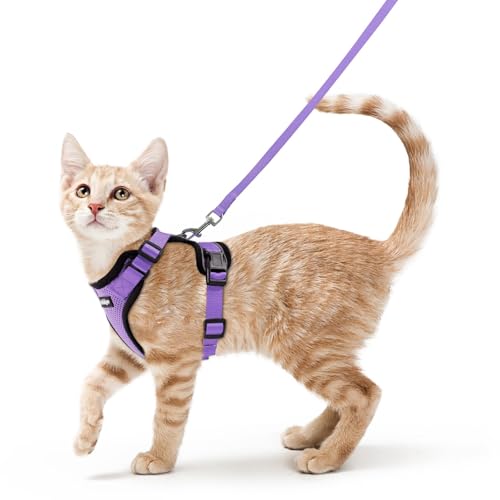 Cat Harness and Leash Set (S / Light Purple)