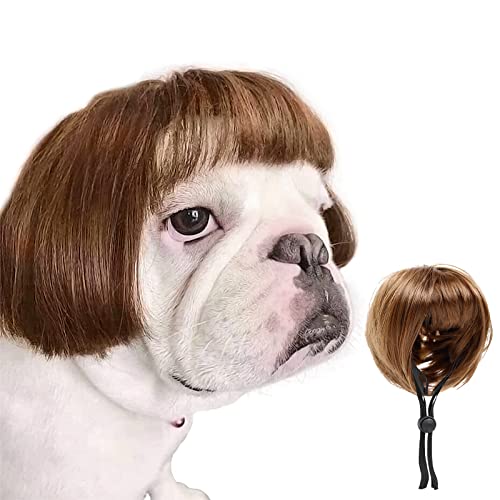 Dog Costume Cat Apparel Dog Toys Curly Braids Headgear Wigs Styling Cute Funny Pet Hair Accessories Decoration for Halloween (flax)