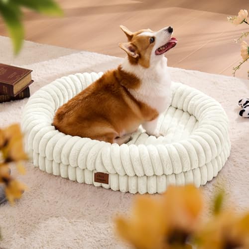 Orthopedic Dog Bed (Cream / L(35*28*7))