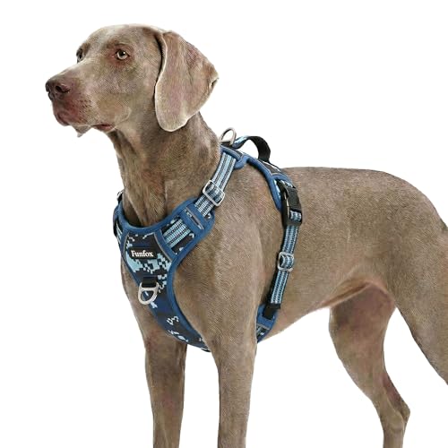 Dog Harness No Pull (Mosaic Blue / X-Large)