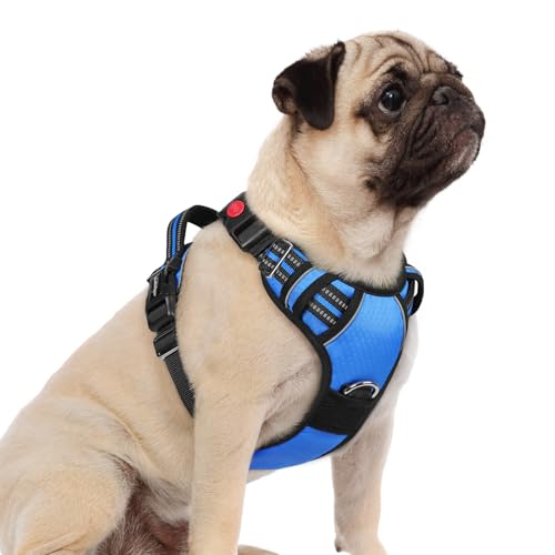 Dog Harness Small Sized (Blue / Small)