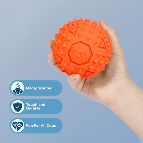 Interactive Squeaky Dog Chew Toy (Spiky Ball (Blue, Orange) / Large)