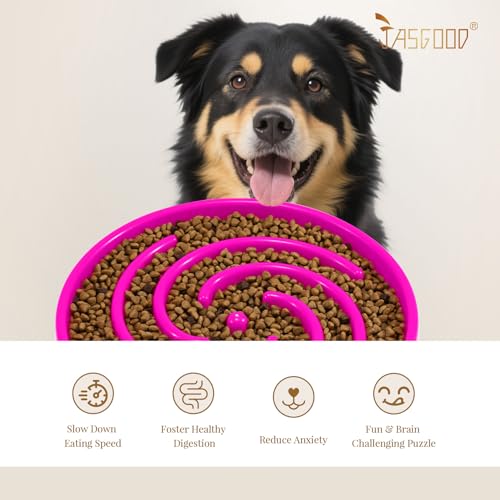 Slow Feeder Dog Bowl for Large Medium Dogs (Large / Hot pink)