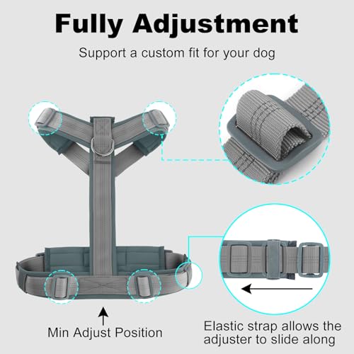 No Pull Dog Harness (M / Gray)