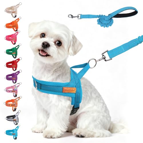 Small Dog Harness and Leash Set (Blue / S: Chest 17.5"-22")