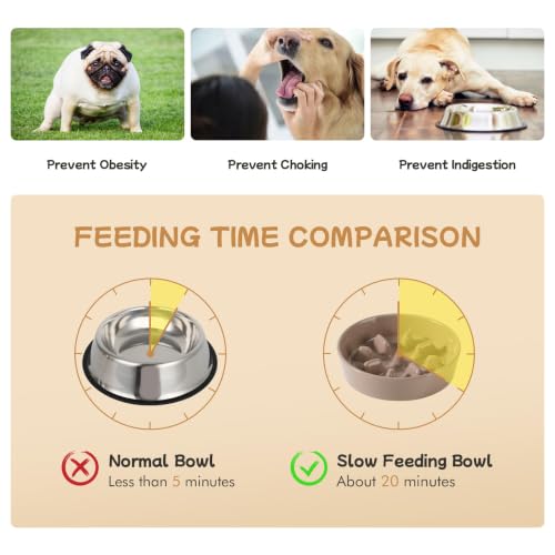 Elevated Slow Feeder Dog Bowls (Brown Coffee)