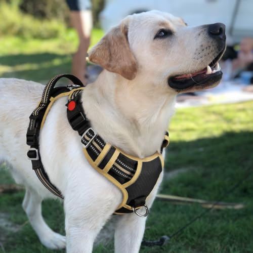 Dog Harness for Large (Black & Khaki / Large)