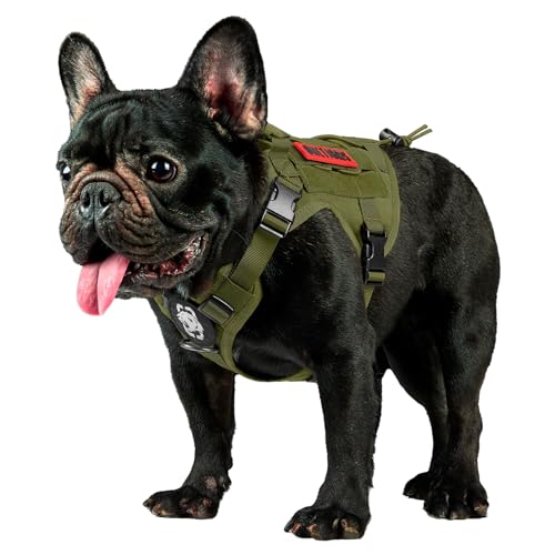 Tactical Dog Harness with Handle No (X-Small / Green)