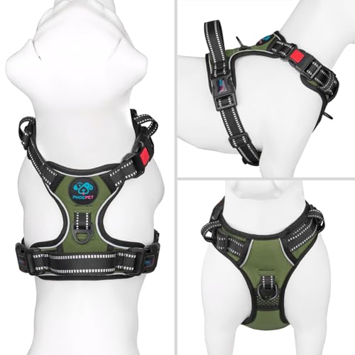 No Pull Dog Harness with Handle Front & Back Clip (Extra Small / Misty Green)