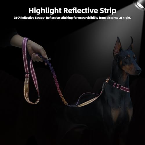 Hands Free Dog Leash for Medium Large Dogs Heavy Duty (Mistyrose)