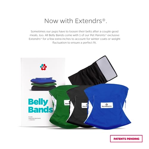Washable Belly Bands for Male Dogs (Small (13-16") / Gentlemen)