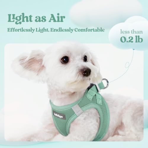 Dog Harness Small Sized and Leash Set (Moss Green / S (chest: 15.1 - 16.5"))