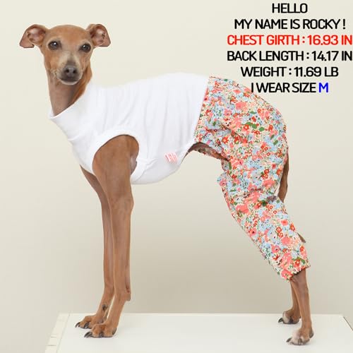 D Doggy Star Italian Greyhound Clothes Mombbe Onesie Outfit Whippet for Dog Coat (2XL / Mombbe Orange)