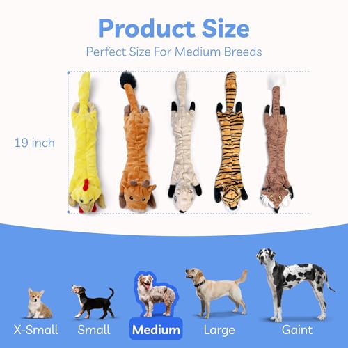 Dog Squeaky Toys 5 Pack (Medium / Bubble Plush-5 Pack)