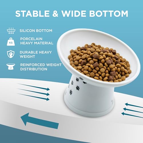 Necoichi Ceramic Elevated Cat Food Bowl (Cat / Large Extra Wide Tilted)
