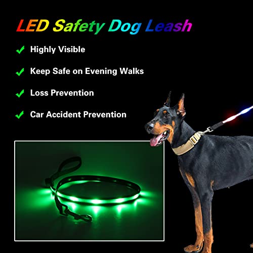 USB Rechargeable LED Dog Leash