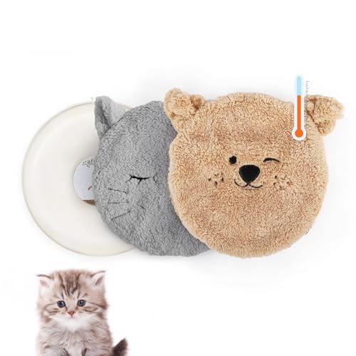 Heated Cat Bed Indoor (Heated Cat Bed Mat)