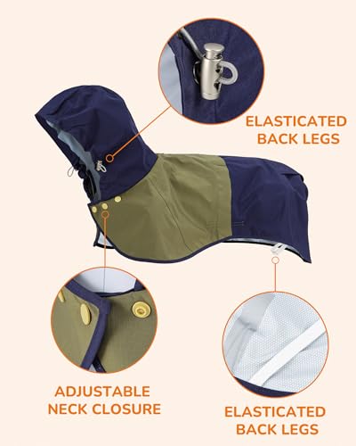 Waterproof Dog Raincoat with Hood (Small / Blue-Green)