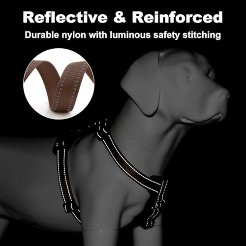 No Pull Dog Harness with Leather Accents (M / Chocolate)