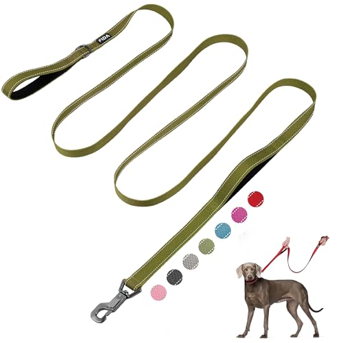 10 FT Heavy Duty Dog Leash (10 Feet (Pack of 1) / Green)