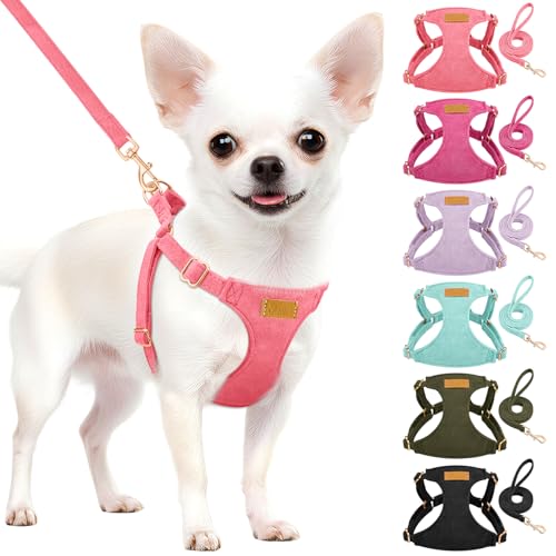 No Pull Dog Harness with Leash for Small Medium Dogs (XX-Small(2.2-6lb) / Solid Pink)
