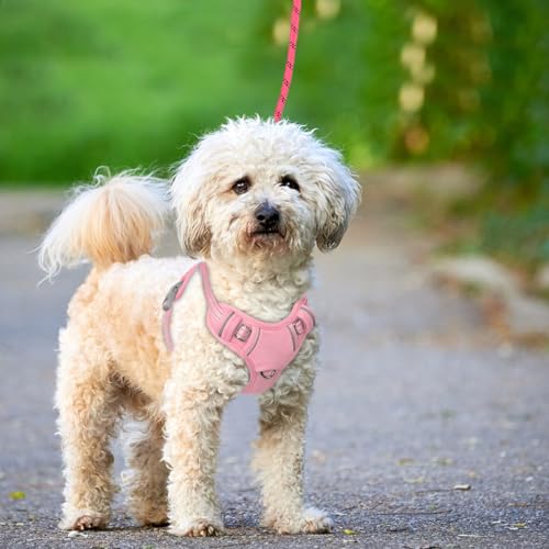 Dog Harness for Small Sized Dog No Pull Dog Vest ID Tag Pocket (Baby Pink / Small)