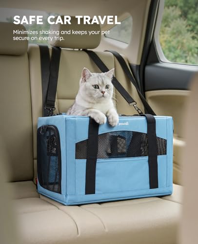Cat Carrier Stable (Light Blue / 16.9"L x 11.0"W x 11.0"H)