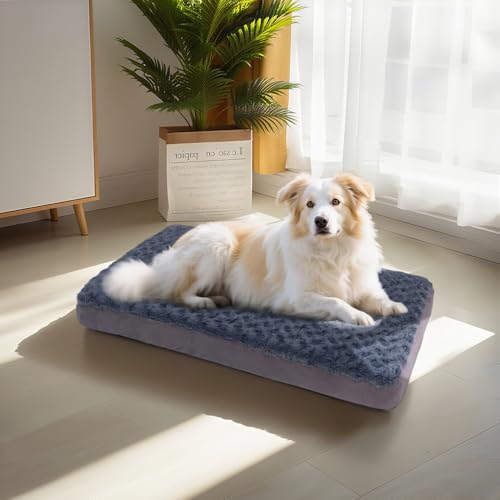Orthopedic Memory Foam Bed for Large Dogs (Rose Plush / Large-35"x 22" x 3")