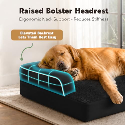 Orthopedic XL Dog Bed with Bolster for Extra Large Size Dogs (42.0"L x 30.0"W x 8.0"Th / Black)