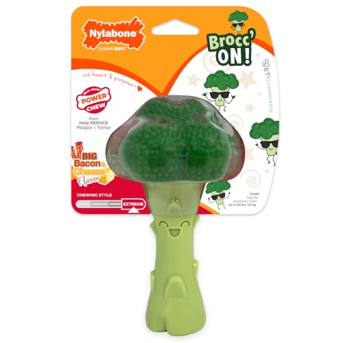 Power Chew Broccoli Dog Chew Toy (Broccoli 1 Pack / Large)