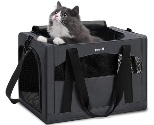 Cat Carrier Stable (Dark Gray Regular / 16.9"L x 11.0"W x 11.0"H)
