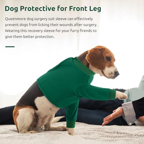 Dog Recovery Suit for Front Legs (Large / Green)