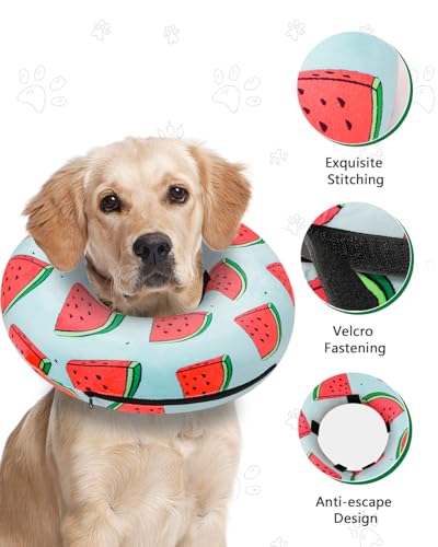 Inflatable Dog Cone (‌Melon / S(9"-10"))
