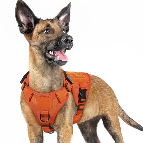 Tactical Dog Harness for Small (Orange / Small)