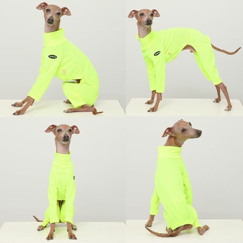 D Doggy Star Italian Greyhound Clothes Stretchy Neon Onesie Spring Summer (XL / Onsi Ne Yellow)