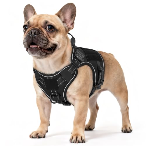 Tactical Dog Harness for Small (Black Reflex / Small)