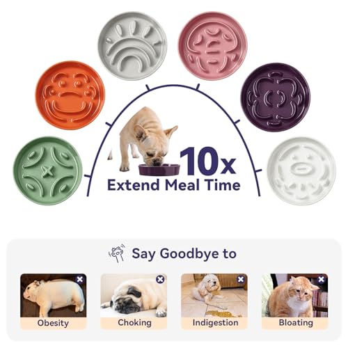 Ceramic Slow Feeder Dog Bowl (White / Small without Stand)