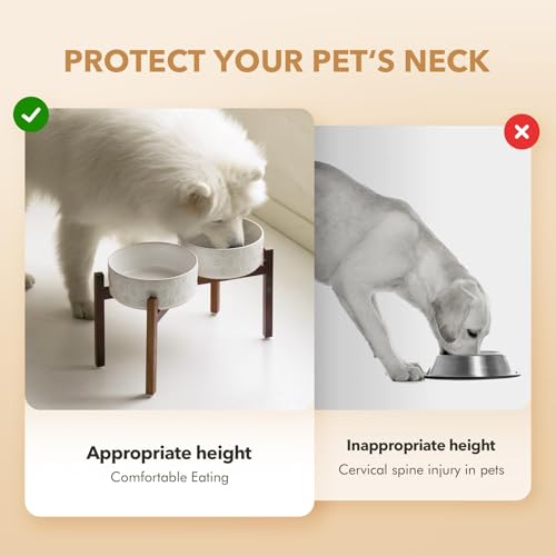 Elevated Dog Bowls (Double Bowls with Stand- Arctic White / 7.6CUPS)