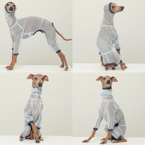 D Doggy Star Italian Greyhound Clothes Sheer Mesh Onesie Summer Jumpsuit Breathable Full Body Protection for Outdoor Walks Small Whippet Fit (XL / Sheer Mesh Blue)