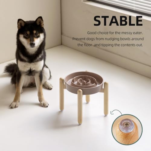Elevated Slow Feeder Dog Bowls (Brown Coffee)