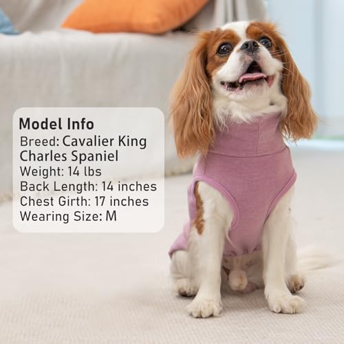2Pack Dog Sweater for Small Dogs Soft Pet Coats Fleece Sweatshirt (Medium (7-11lbs) / 1# Stripe+Purple)