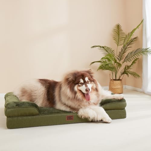 Orthopedic XXL Dog Bed (Olive Green / 48.0"l X 35.0"w X 8.0"th)