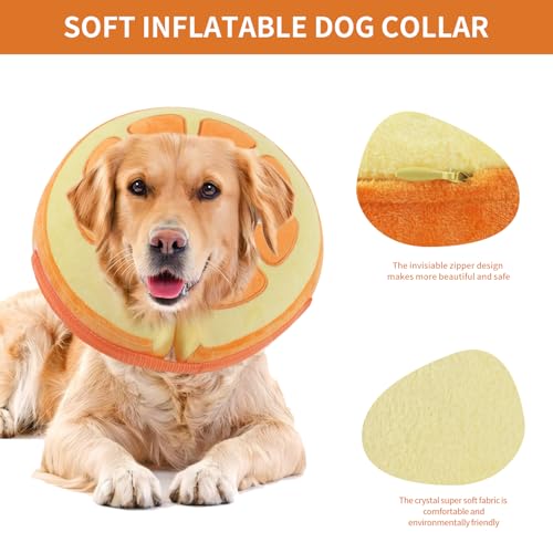 Inflatable Recovery Dog Collar (Orange / X-Large (Neck:20''-23''))